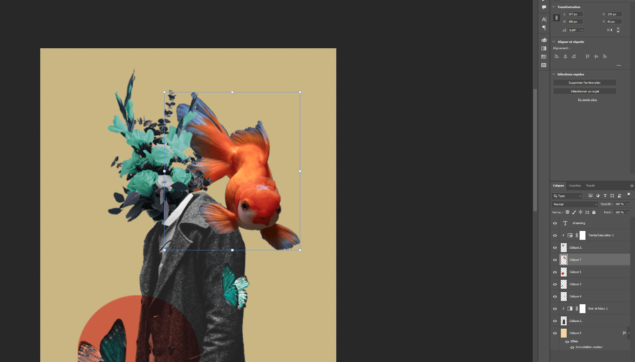 Étape de montage